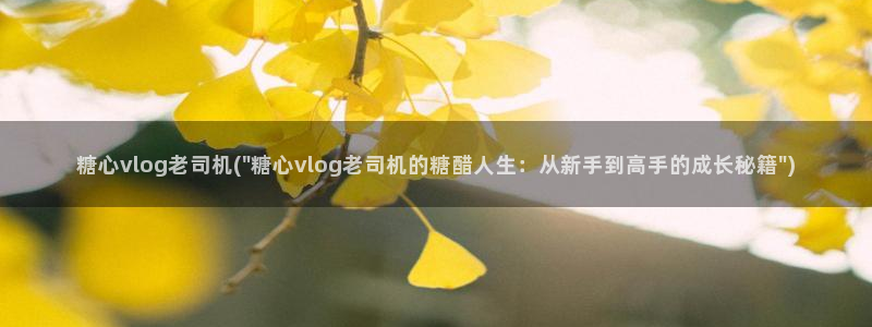 糖心vlongios