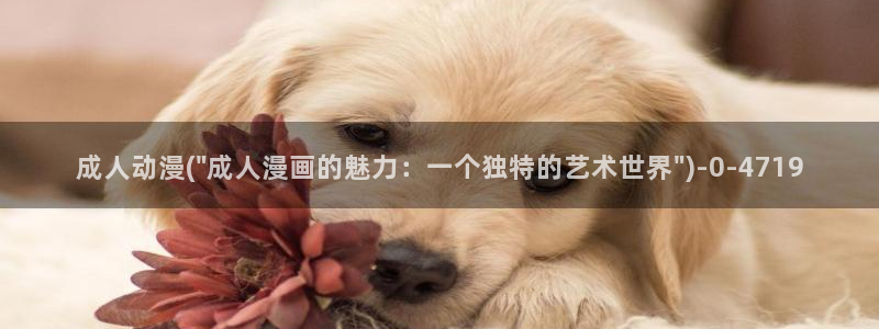 雪鹰领主动漫