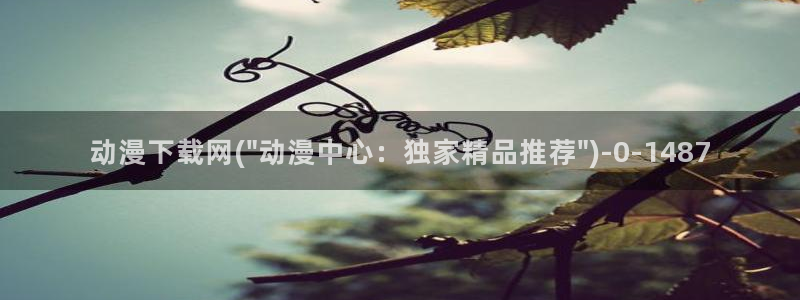 邪恶动漫