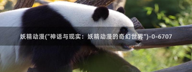 动漫在线