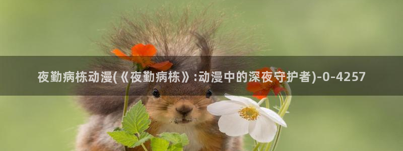 全职法师动漫