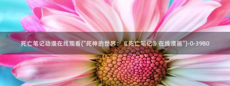 动漫解说