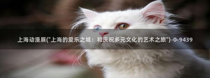 城市猎人动漫：上海动漫展(\