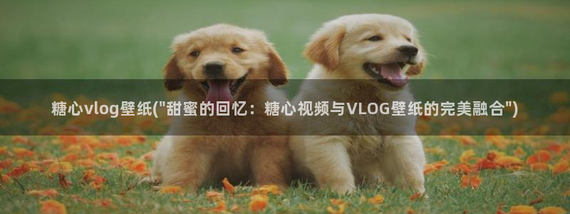 糖心vlgo官网人口