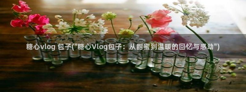 糖心vlgo官网下载地址