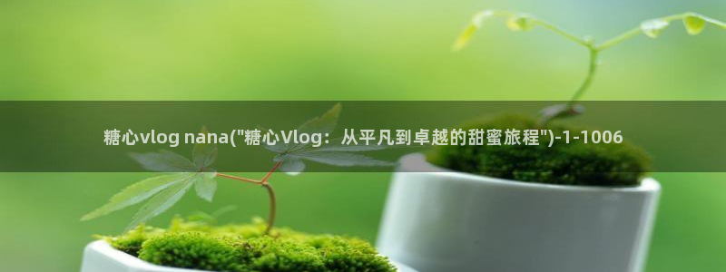 糖心vlgo什么时候创办的