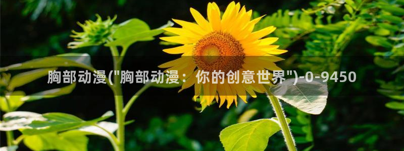 黑暗圣经动漫