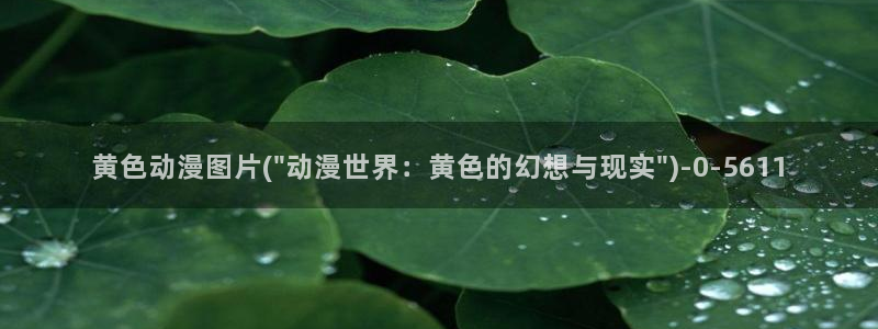 柑橘味香气动漫